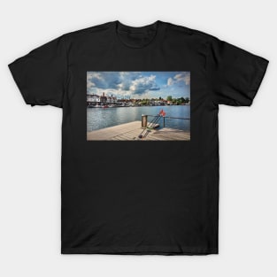 Prepared For Rowing At Henley T-Shirt